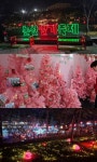 논산딸기축제 D-17, 2026년 봄… 세계를 유혹하는 달콤한 딸기 향연이 시작된다! (+논산딸기, 봄축제, 시민가족공원, 딸기체험)