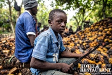 [Fairtrade News] 아동노동 철폐를 위한 국제공정무역기구의 노력... [Fairtrade News] 아동노동 철폐를 위한 국제공정무역기구의 노력 외