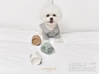 [Hotel Trend] 반려동물 고객, 호텔에서 건강하고 안전한 쉼 보장 받아 [호텔앤레스토랑] [Hotel Trend] 반려동물 고객, 호텔에서 건강하고... 
