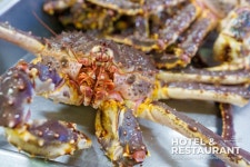노르웨이 레드 킹크랩의 여정 따라 떠나다... [Dining Choice] Follow the King! 노르웨이 레드 킹크랩의 여정 따라 떠나다