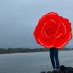 ♥ H O T P I N G ♥ 이번 여행갈때 청바지 입어보고 싶어서 구매했는데 키가 작은 저에게는 길이감도 너무 좋고 핏도 예뻤어요! ...사용후기 - 핫핑