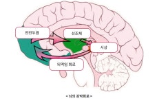 정신건강정보 - 보건소