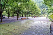 캠핑장 - 횡성여행