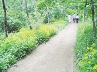 기획취재/ 내포문화권 명품숲길을 걷다 - 홍성신문 기획취재/ 내포문화권 명품숲길을 걷다