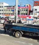 보행자는 어디로 건너나? - 홍성신문 내포타임즈 보행자는 어디로 건너나?