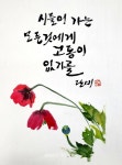백서이의 시선 34 - 홍성신문 내포타임즈 백서이의 시선 34