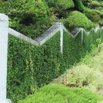 원예종묘의 선두주자 - 한솔원예종묘