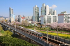 도시철도 사진 내용보기  > 갤러리  > 문화관광  > 부산교통공사
