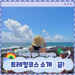 나만의 여행코스 내용보기  > 시티투어  > 문화관광  > 부산교통공사