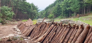 홈 > 대봉스카이랜드 > 대봉산림욕장 > 자연관찰원