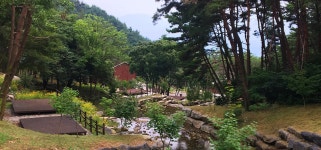 홈 > 대봉스카이랜드 > 대봉산자연휴양림 > 자연휴양림 소개