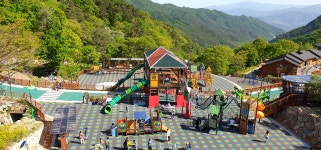 홈 > 대봉캠핑랜드 > 시설안내 > 숲속놀이터