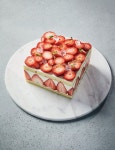 the Red Magazine 더 레드 소식지