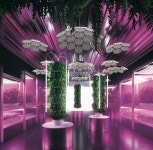 the Red Magazine 더 레드 소식지