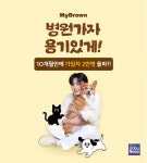 마이브라운반려동물전문보험(펫보험) - 기업정보 | 투자, 매출, 기업가치 - THE VC