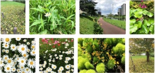 ありがとう旧中川! - Pachi - the Collaboration Energizer