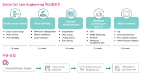 Stable cell line 제작 서비스 할인 | 할인행사 > Bio마켓 | BRIC