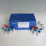 [인터팜] Bioendo 회사 안내 -Bioendo 회사 제품들 소개 드립니다.... | 연구용제품 > Bio마켓 | BRIC [인터팜] Bioendo  회사 안내 -Bioendo... 