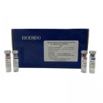 [인터팜] Bioendo 회사 안내 -Bioendo 회사 제품들 소개 드립니다. | 연구용제품 > Bio마켓 | BRIC [인터팜] Bioendo  회사 안내 -Bioendo... 