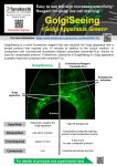 [골지체 형광 염색 시약] GolgiSeeing - Golgi Apparatus Green [FDV-0053]_Funakosh - 코아사이언스 | 연구용제품 > Bio마켓 | BRIC