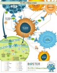[Bosterbio 공식대리점] PD-1/PD-L1 Pathway in Cancer ( Boster bio ) | 연구용제품 > Bio마켓 | BRIC