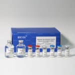 [인터팜] Bioendo 회사 안내 -Bioendo 회사 제품들 소개 드립니다.... | 연구용제품 > Bio마켓 | BRIC [인터팜] Bioendo  회사 안내 -Bioendo... 