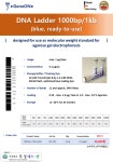 [GeneON] DNA Ladder 1000bp/1kb (blue, ready-to-use) | 할인행사 > Bio마켓 | BRIC