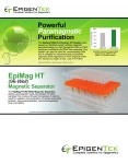 [Epigentek] Sample Preparation for Epigenetoc Studies | 연구용제품 > Bio마켓 | BRIC