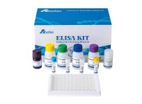 | 연구용제품 > Bio마켓 | BRIC [Abebio - 한국 공식, 모아바이오] ELISA Kit / Antibody / Protein 제품군을 소개합니다~! 확인해... 