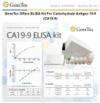 [GeneTex 한국공식대리점 (주)메디플바이오랩] CA19-9 (Carbohydrate Antigen 19-9) ELISA Kit | 연구용제품 > Bio마켓 | BRIC
