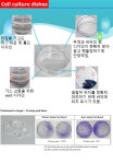 [이에스제이 바이오] PakGent cell culture dishes | 연구용제품 > Bio마켓 | BRIC