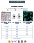 [GeneTex 한국공식대리점 (주)메디플바이오랩] GPCR Antibodies | 연구용제품 > Bio마켓 | BRIC