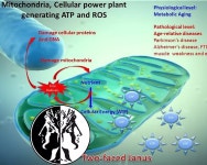 충남대학교/분석과학기술대학원 | 대학원생 모집 > BioJob | BRIC
