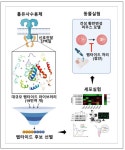 천연물생약제조기술연구원 | 박근완 (한국과학기술연구원 천연물연구소) | 한빛사논문 > 한빛사 | BRIC 박근완 (한국과학기술연구원 천연물연구소) | 한빛사논문 > 한빛사