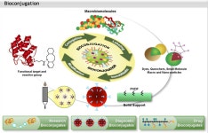 [BIOSYNTHESIS 한국 대리점] BIOSYNTHESIS의 어메이징한 제품을 소개합니다. | 연구용제품 > Bio마켓 | BRIC