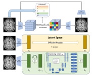 김호성 교수 | University of Southern California, NIDLL | BioLab >...