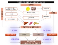 네이처 리뷰에 ‘대사증후군’ 최신 지견 집대성한 종설 논문 발표 | 연구성과 > Bio뉴스 > 동향 | BRIC