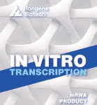 [HONGENE BIOTECH 한국 대리점] HONGENE BIOTECH의 제품을 소개합니다. | 연구용제품 > Bio마켓 | BRIC