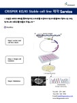 [Stable Cell Line_라이프지노믹스] CRISPER를 이용한 KO/KI Stable cell line 제작 서비스! | 할인행사 > Bio마켓 | BRIC