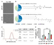 바이오와 나노가 융합하여 슈퍼박테리아 문제 해결하다 | 뉴스 > Bio뉴스 > 동향 | BRIC