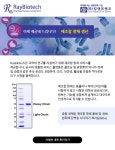 [RayBiotech] 재조합 항체 생산을 제공해 드립니다! | 연구용제품 > Bio마켓 | BRIC
