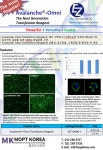 [EZbiosystems] 한국 공식 대리점 - Omni Transfection Reagent | 할인행사 > Bio마켓 | BRIC