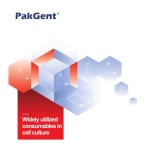 ** 4+1 이벤트 ** [이에스제이바이오] 팩젠트 PakGent Cell Culture wares (실험실 소모품 전품목) | 연구용제품 > Bio마켓 | BRIC