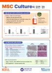 [Xcell] MSC Culture의 모든 것 | 연구용제품 > Bio마켓 | BRIC