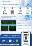 [리피도미아 주식회사] Transfection reagent 무료로 사용해보세요🎁 | 할인행사 > Bio마켓 | BRIC