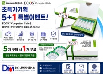 와이비(YB)바이오메이트 | [YB Biotech] SOC Recovery 없이 1~6분 Transformation — ECOS™ Competent Cells | 연구용제품 > Bio마켓 | BRIC