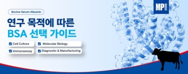 Albumin, Bovine (BSA) 선택가이드 | 연구용제품 > Bio마켓 | BRIC Albumin, Bovine (BSA) 선택가이드  | 연구용제품 > Bio마켓 | BRIC