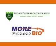 [Antibody Research Corporation - 공식대리점] IgA Native Proteins 제품을 확인해 보세요! | 연구용제품 > Bio마켓 | BRIC