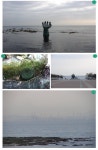 [re] 바다에서 온 소식...동해안 꼬리 여행 | 소리마당 > 커뮤니티 | BRIC [re] 바다에서 온  소식...동해안 꼬리 여행 | 소리마당 > 커뮤니티 | BRIC