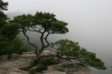 산에서 온 소식 | 소리마당 > 커뮤니티 | BRIC